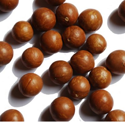 Macadamia ganz 1 kg 